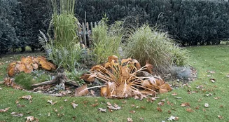 von_poll_real_estate_property_25472010_image_1