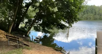 von_poll_real_estate_property_26472002_image_11