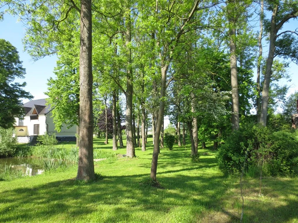 Garten