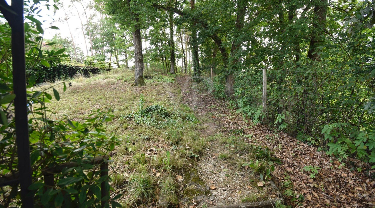 Waldgrundstück