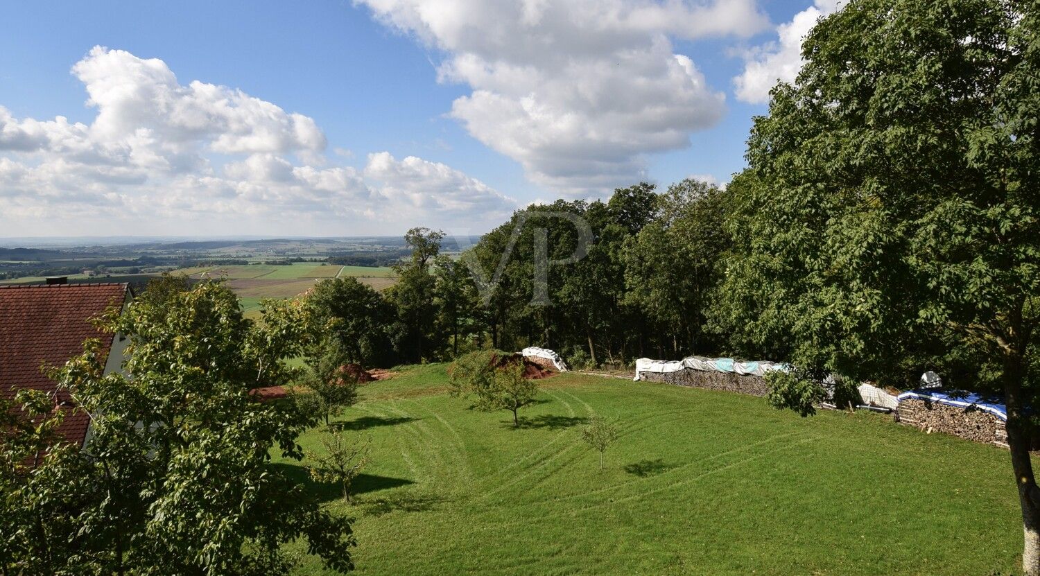 Fernblick