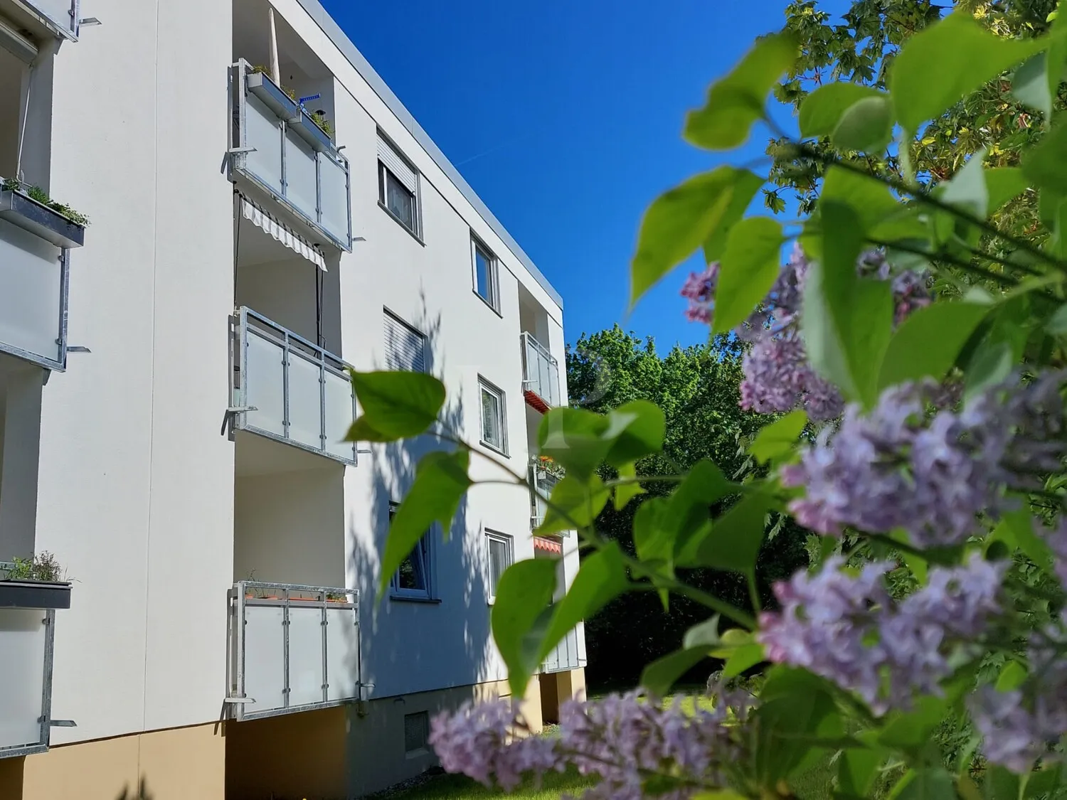 Haus