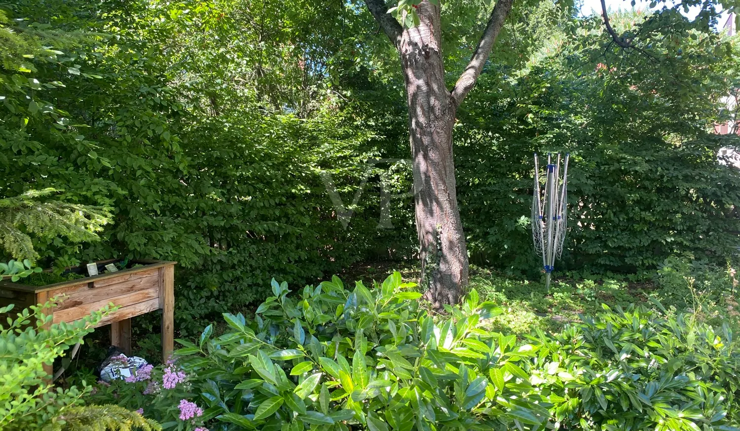 Hochparterrewohnung in Jena West