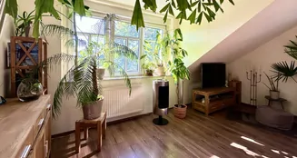 von_poll_real_estate_property_25441066_image_9