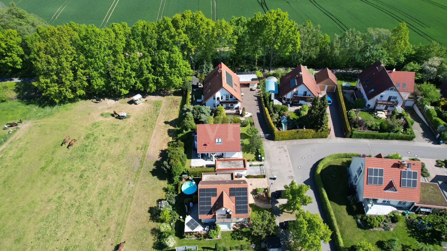 Blick auf das Haus