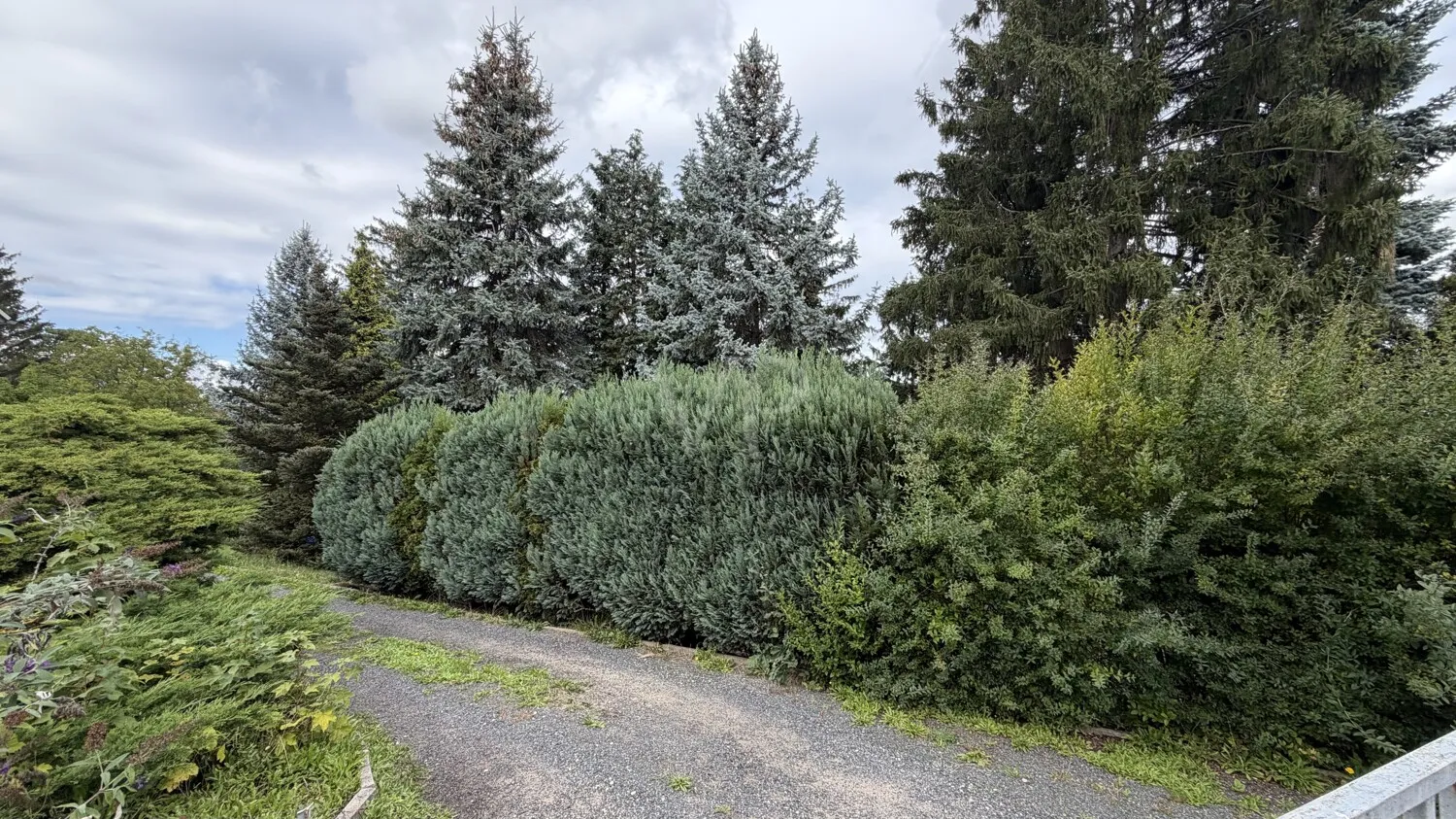 Einfahrt