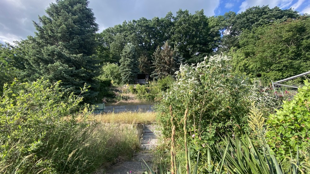 Garten 2