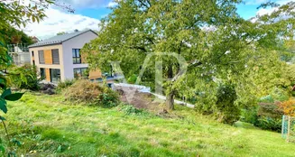 von_poll_real_estate_property_23441032_image_2