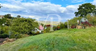 von_poll_real_estate_property_23441032_image_1