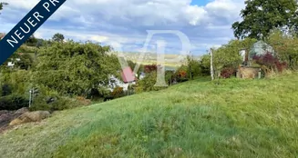 von_poll_real_estate_property_23441032_image_0