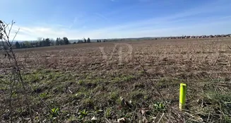 von_poll_real_estate_property_24441009_image_4