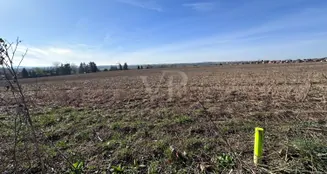 von_poll_real_estate_property_24441009_image_4