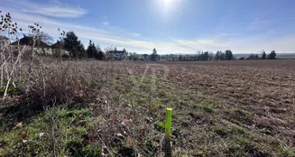 von_poll_real_estate_property_24441009_image_1