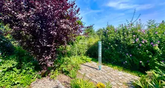 von_poll_real_estate_property_25441069_image_31