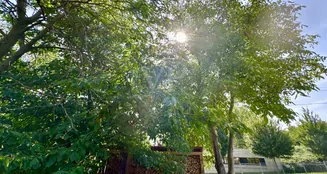 von_poll_real_estate_property_25441069_image_22