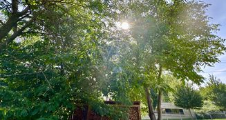 von_poll_real_estate_property_25441069_image_22
