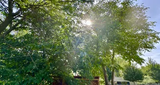 von_poll_real_estate_property_25441069_image_22