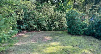 von_poll_real_estate_property_24441037_image_10