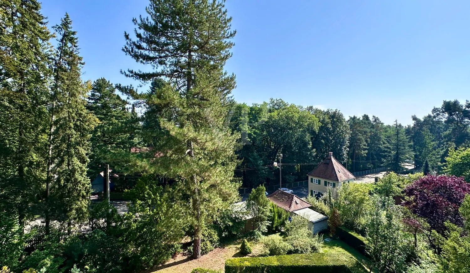 Blick über das Grundstück