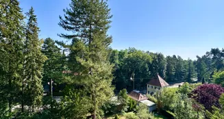 von_poll_real_estate_property_24441037_image_25