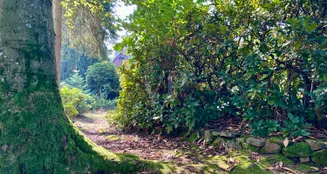 von_poll_real_estate_property_24441037_image_8