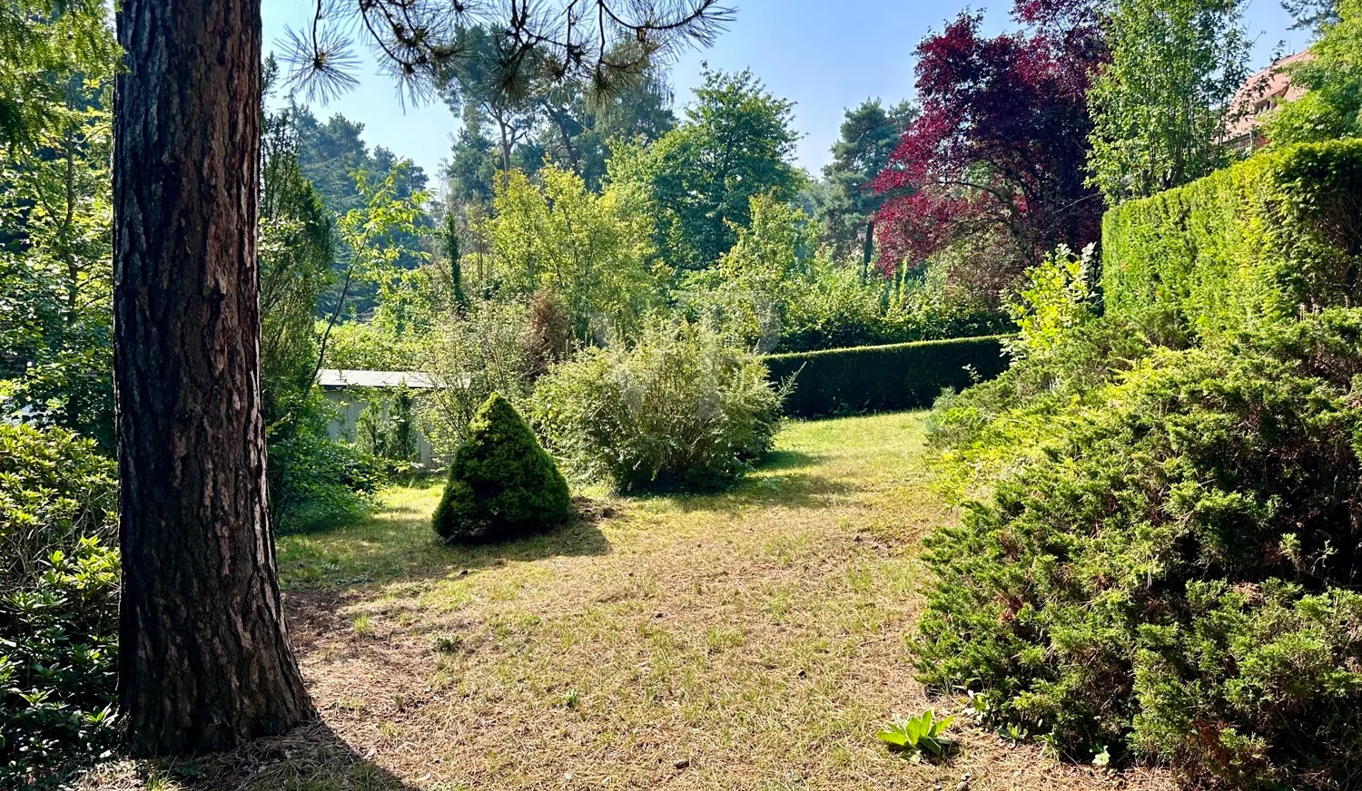 parkähnliches Grundstück