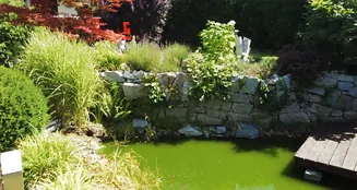 von_poll_real_estate_property_25441005_image_5