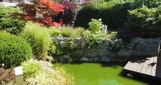 von_poll_real_estate_property_25441005_image_5