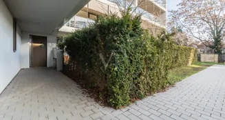 von_poll_real_estate_property_25441014_image_3