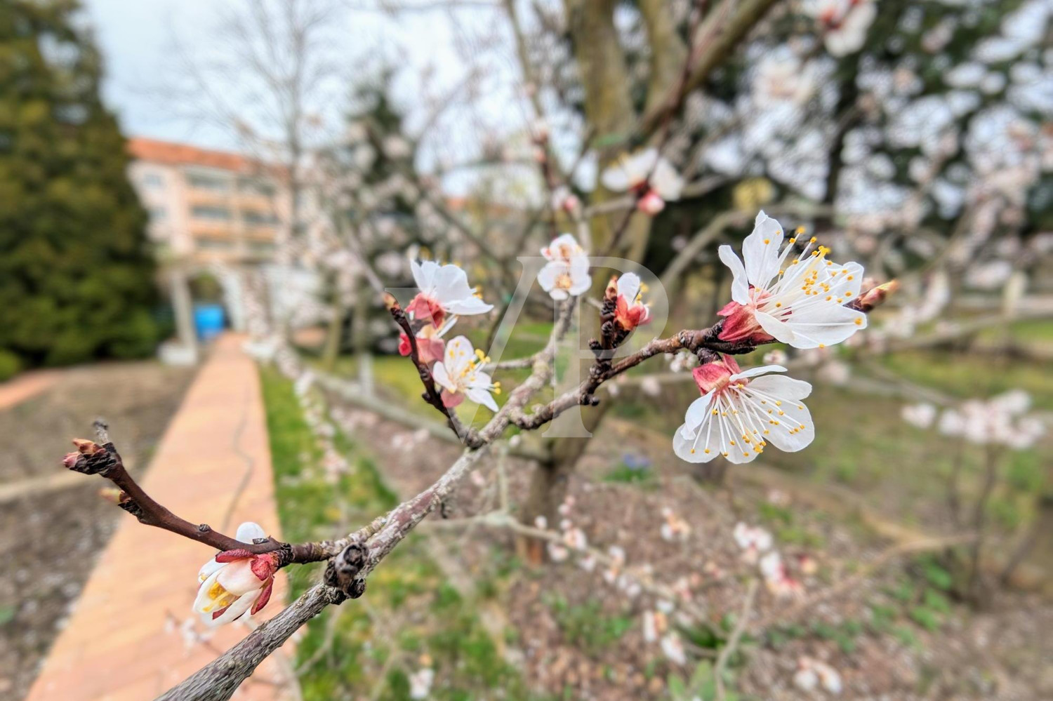 Frühling