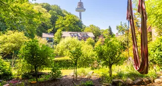 von_poll_real_estate_property_25471011_image_2