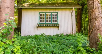 von_poll_real_estate_property_25471011_image_3