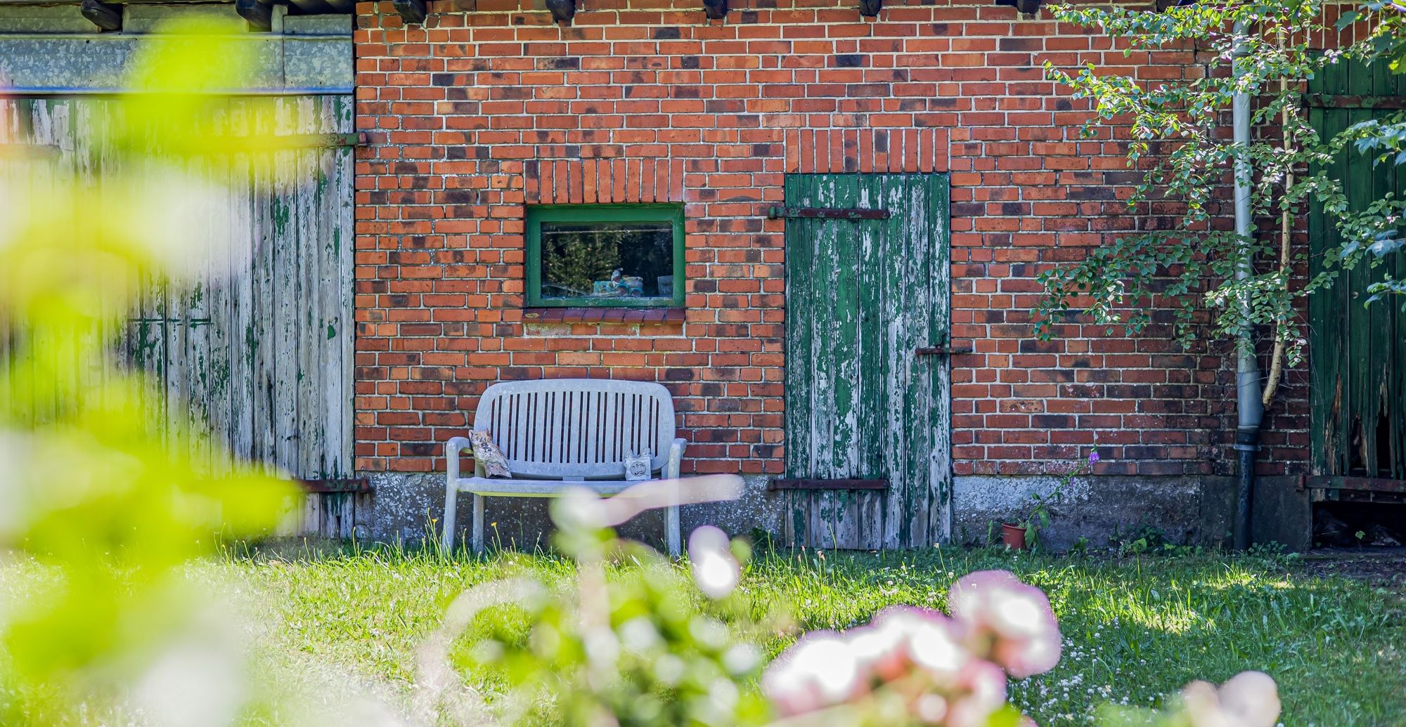 .Schuppenblick