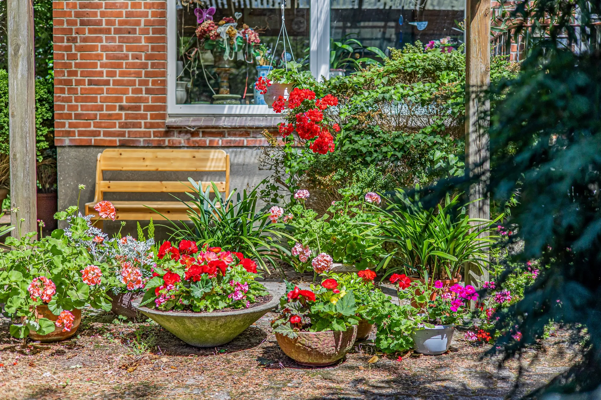 .Terrassenblick