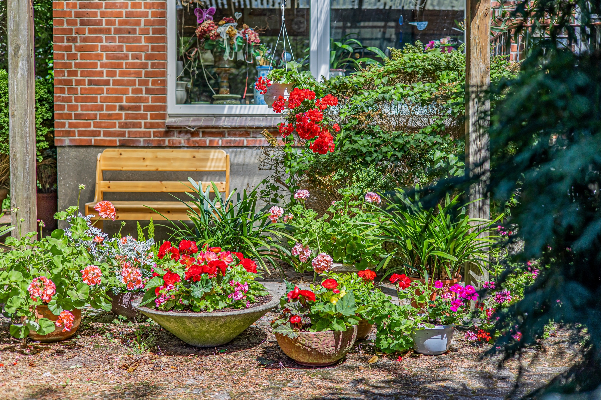 .Terrassenblick
