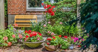 von_poll_real_estate_property_25471026_image_7