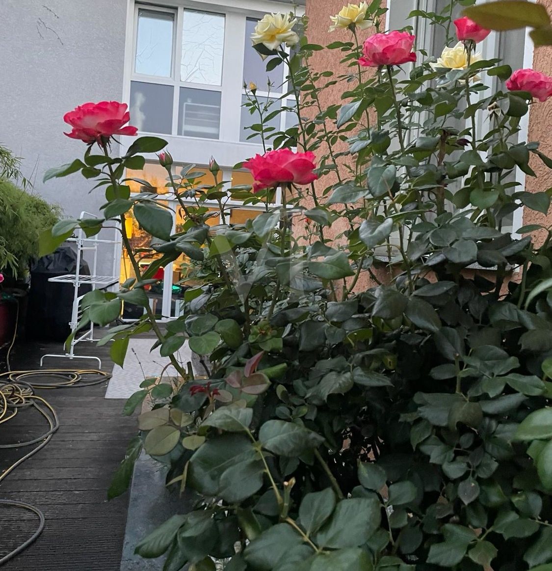 Garten_04