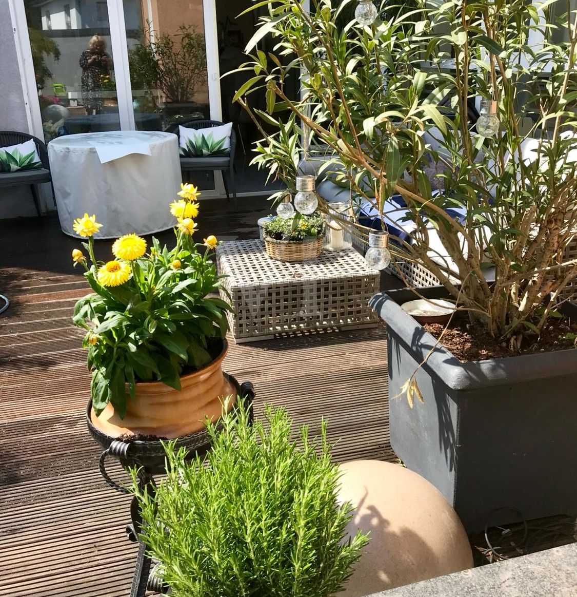 Terrasse 1_01