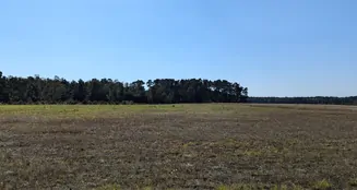 von_poll_real_estate_property_24116027_image_12