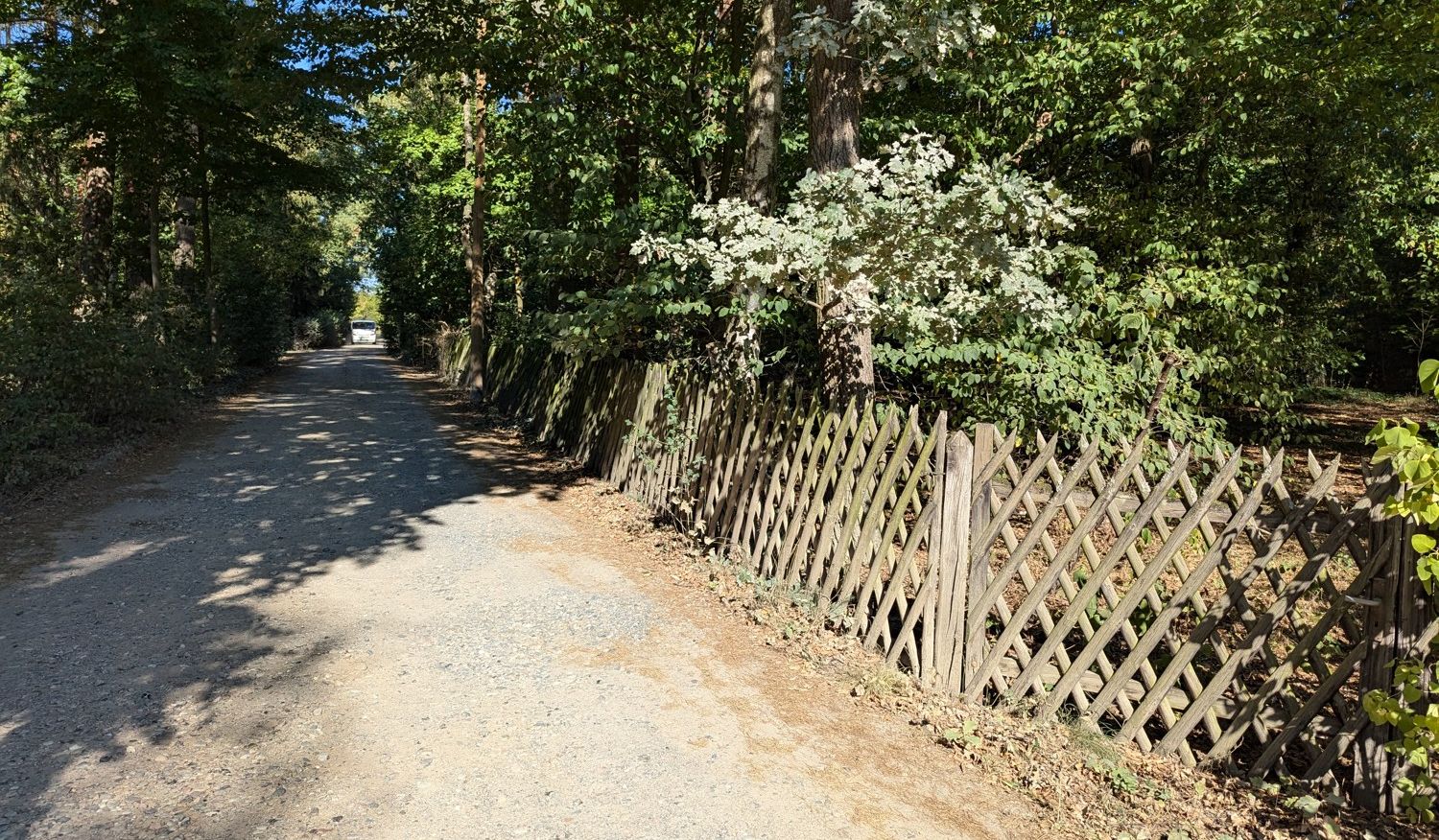 Ansicht Straße
