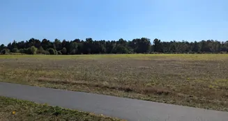 von_poll_real_estate_property_24116027_image_13