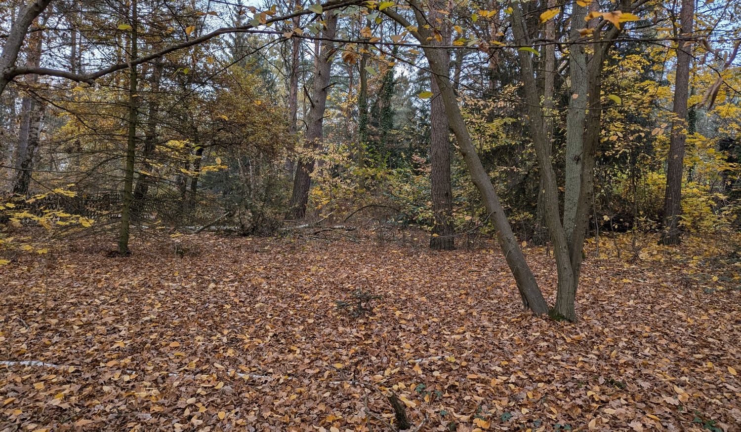 Grundstück