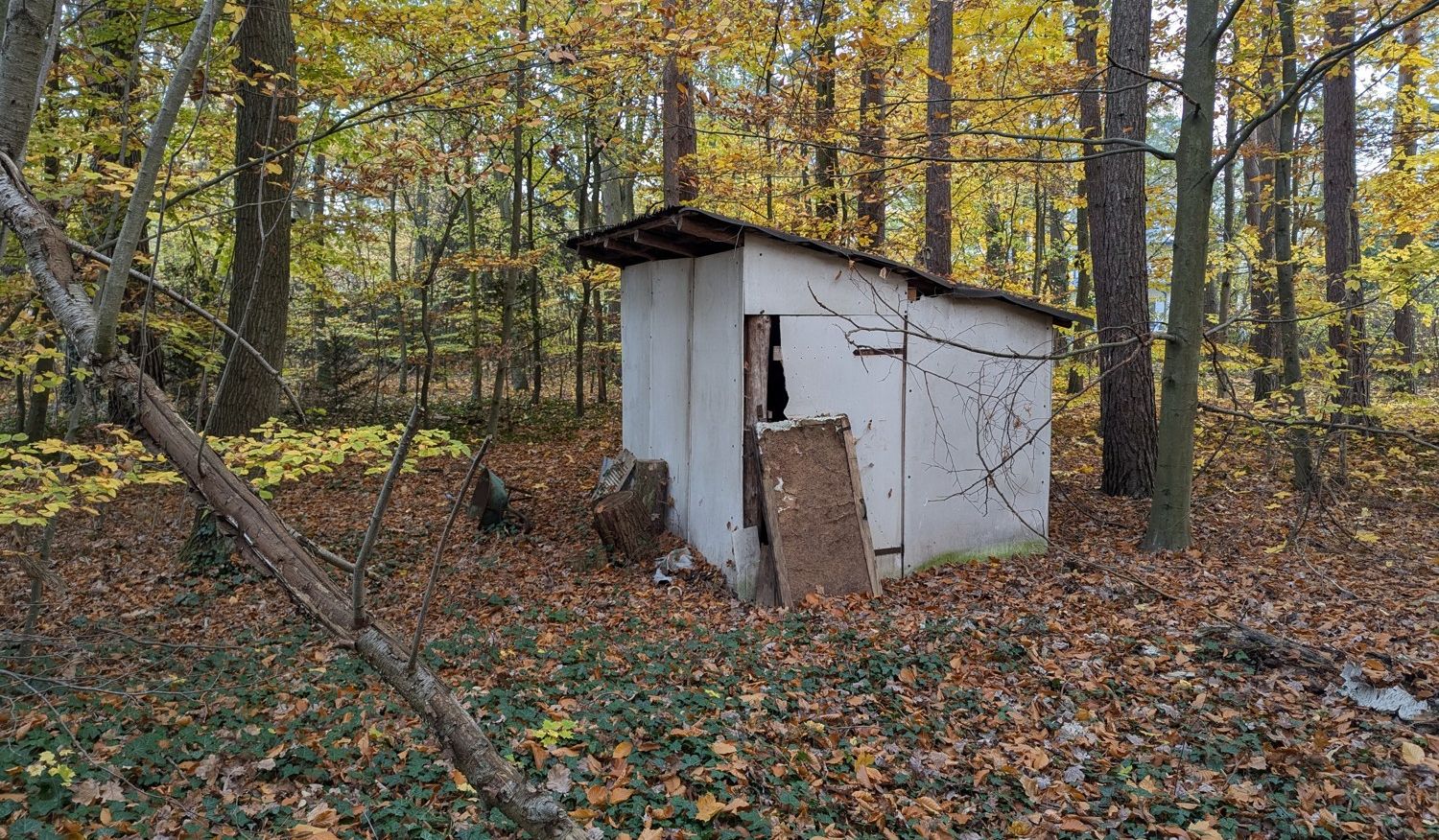 Grundstück