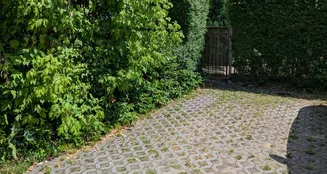 von_poll_real_estate_property_25116006-3_image_7