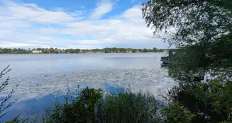 von_poll_real_estate_property_25116015_image_16