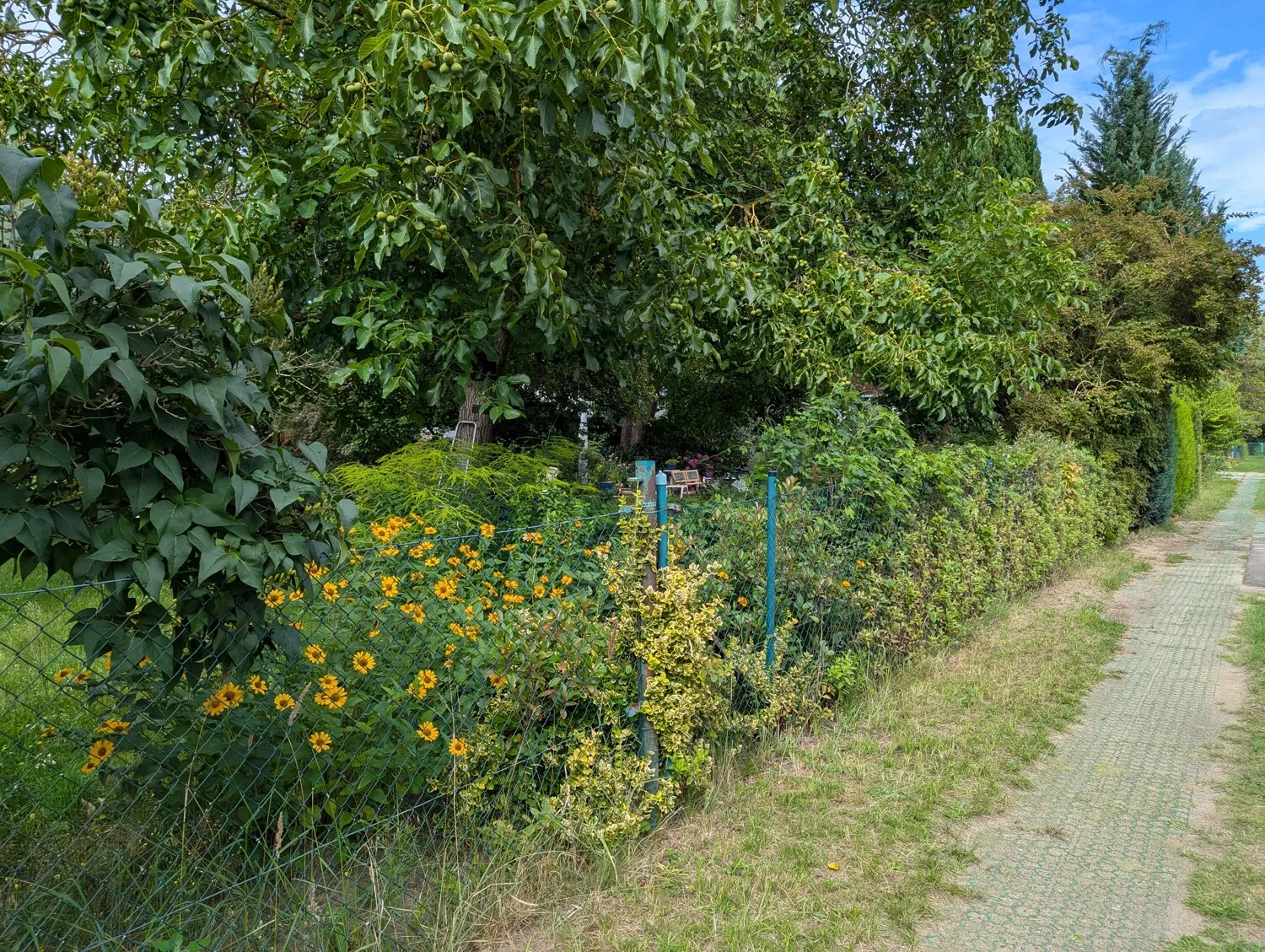 Zufahrt zum Grundstück