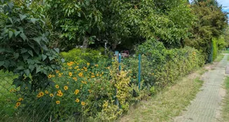 von_poll_real_estate_property_25116015_image_13