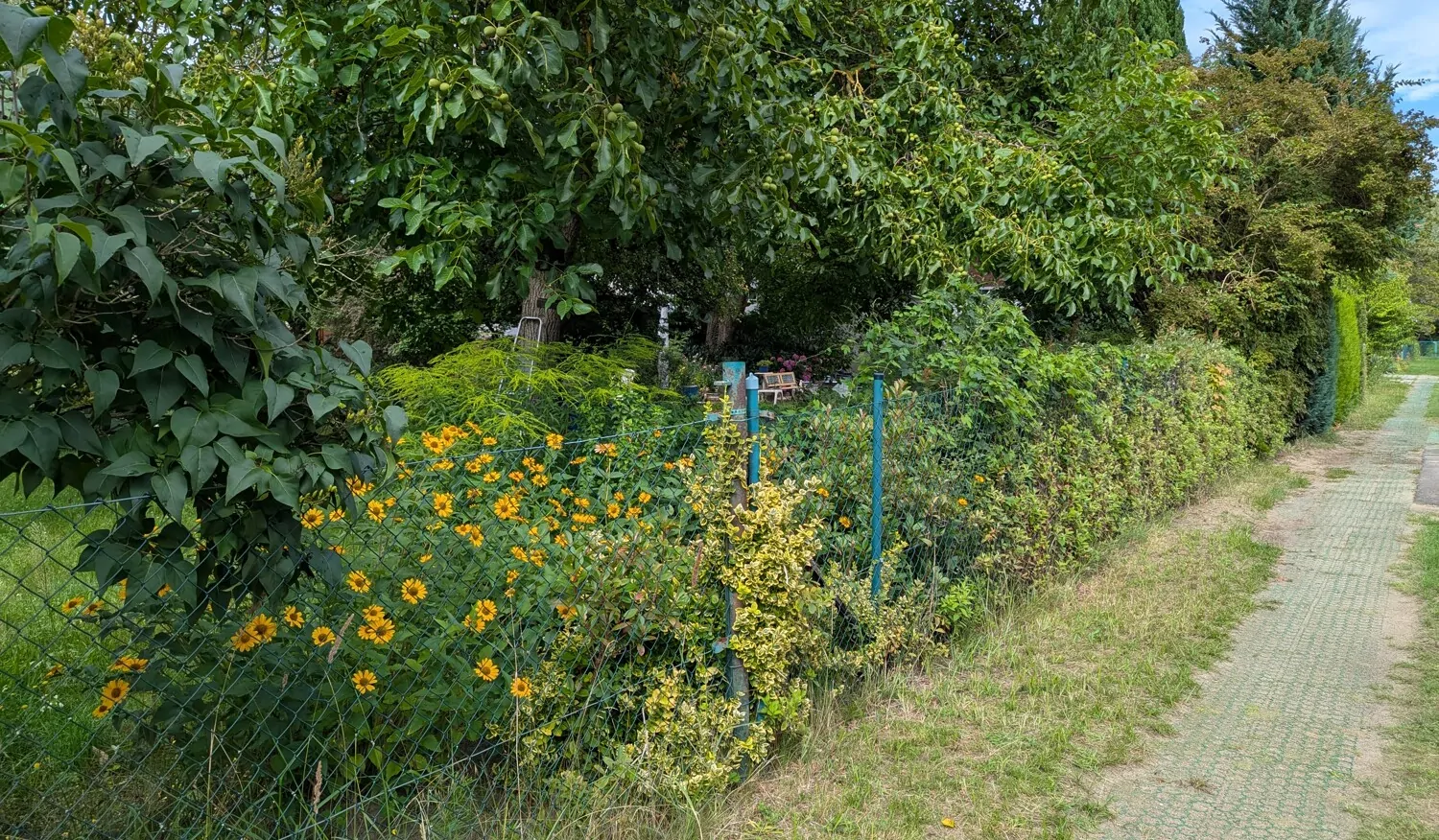 Zufahrt zum Grundstück