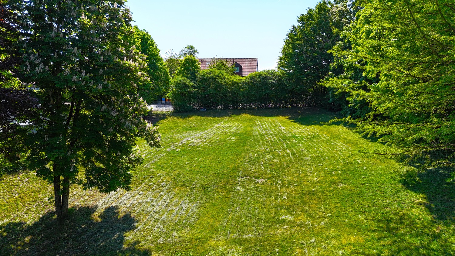Schön eingewachsener Garten