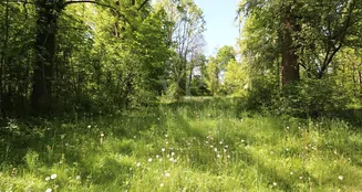 von_poll_real_estate_property_25118025_image_11